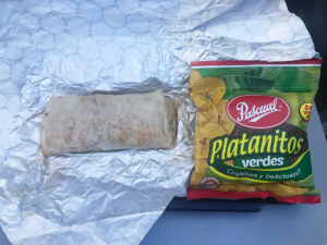 Voo CopaAir para Orlando com Escala no Panamá 9 Burrito de carne