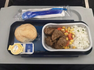 Voo CopaAir para Orlando com Escala no Panamá 4 Carne com legumes e arroz
