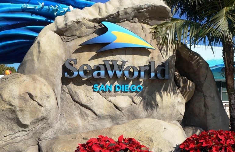 Parque SeaWorld San Diego reabre em fevereiro 2