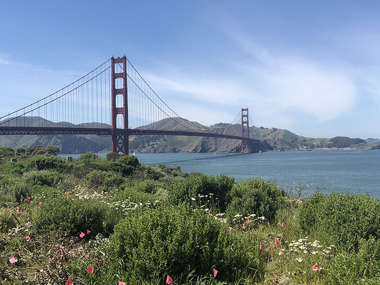 Ponte Golden Gate 1