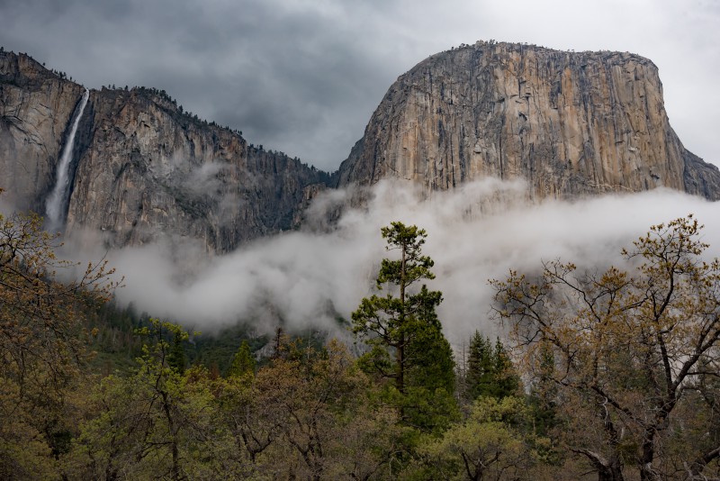 Quais áreas do Yosemite Park estão fechadas