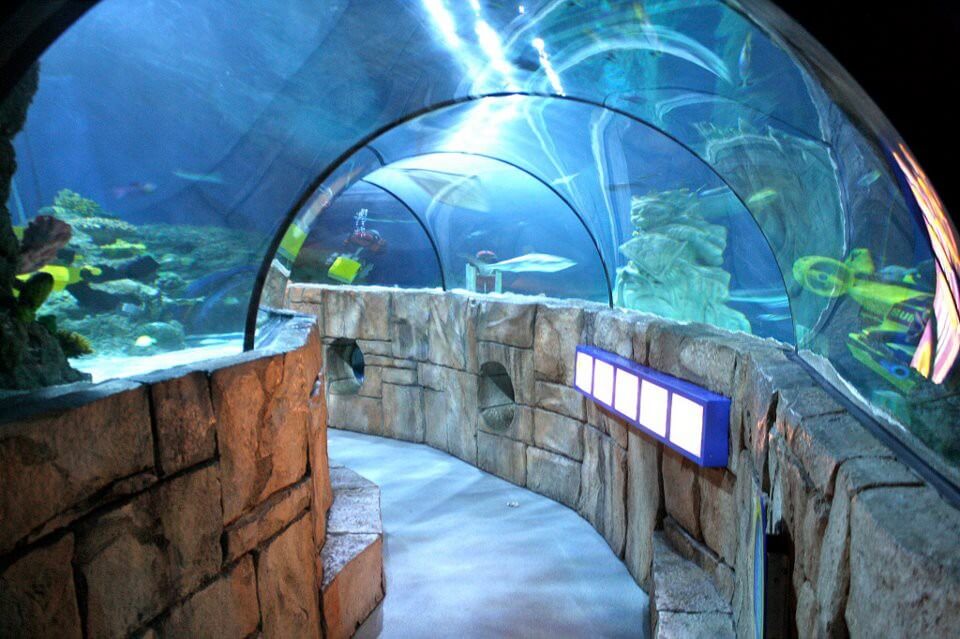 Sea Life Aquarium Carlsbad