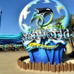 parque seaworld em san diego na california