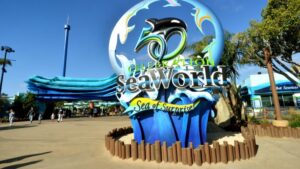 SeaWorld San Diego 1