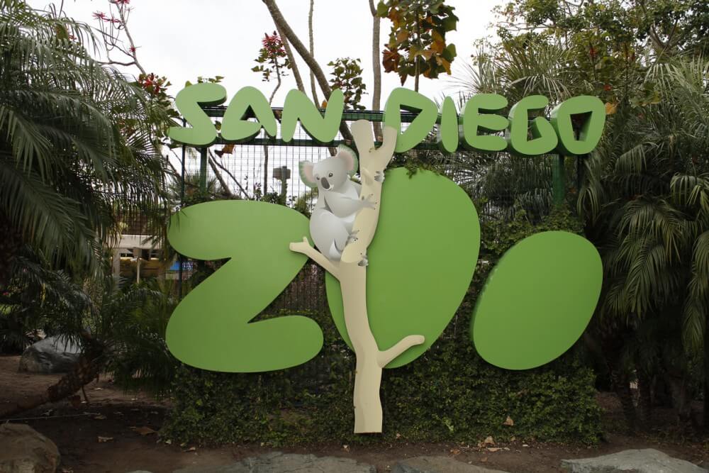 San Diego Zoo na Califórnia