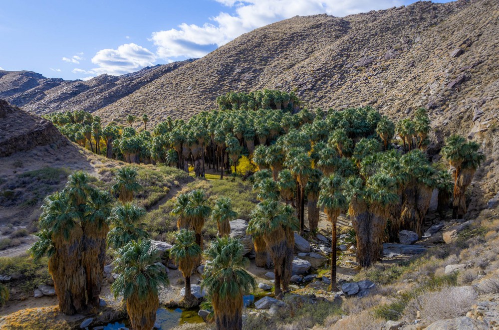 agua caliente indian canyons em palm springs
