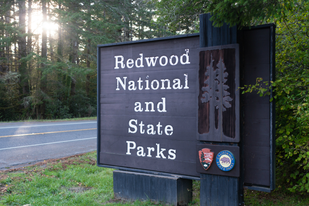 parque nacional de redwood