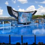 Mapas dos parques de Seaworld