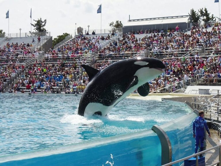 Seaworld Orlando