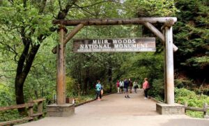 Monumento Nacional de Muir Woods 1