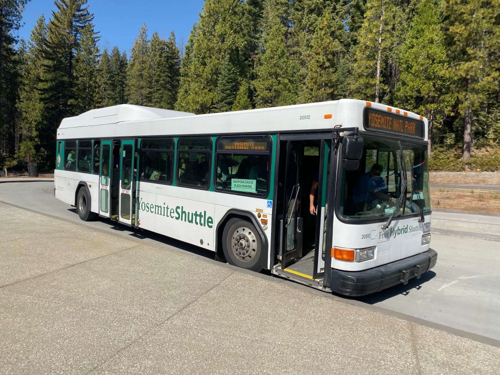 Shuttle para floresta das sequoias