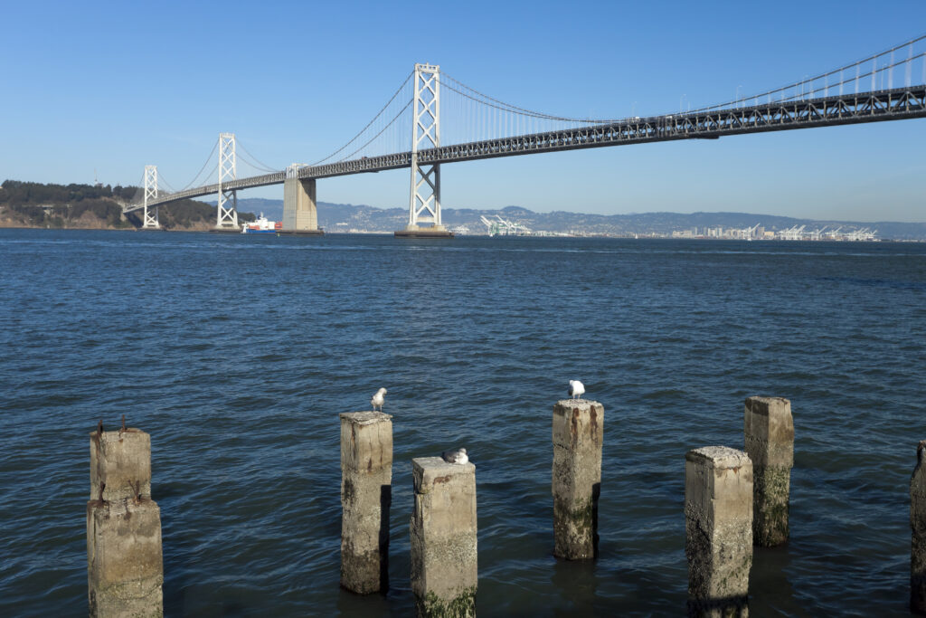 Ponte San Francisco – Oakland Bay Bridge 1