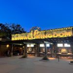 disney animal kingdom