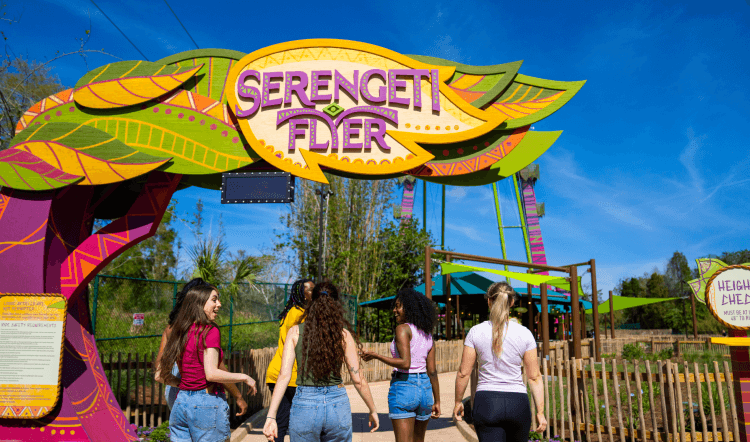 Busch Gardens tem nova atração que bate recorde mundial. Conheça o Serengeti Flyer! 4