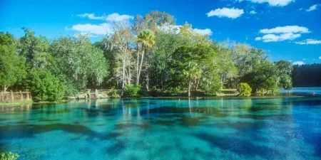 Florida Springs: guia de piscinas naturais para conhecer em 2024 Florida Springs