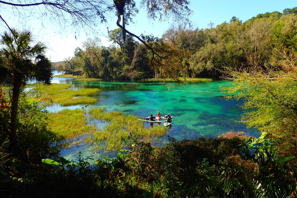 Florida Springs: guia de piscinas naturais para conhecer em 2024 3