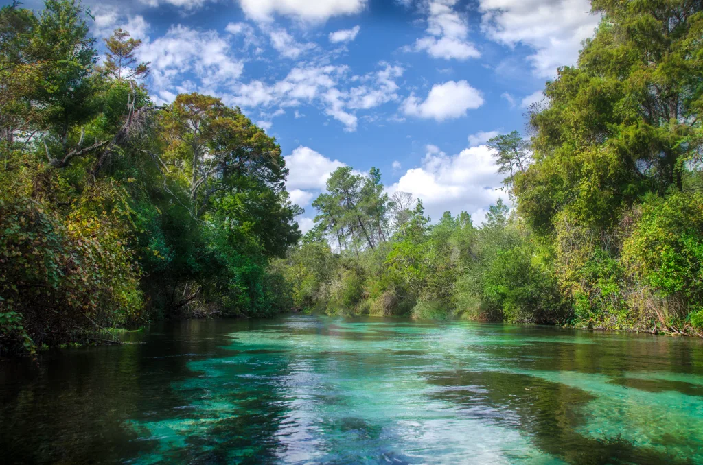 Florida Springs: guia de piscinas naturais para conhecer em 2024 1