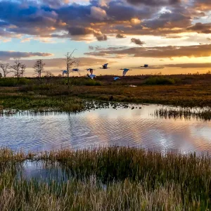 everglades national park