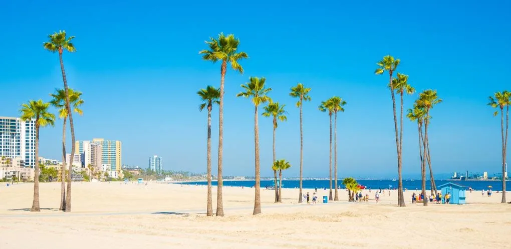 12 praias incríveis para aproveitar na Califórnia 7