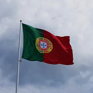 visto d2 portugal