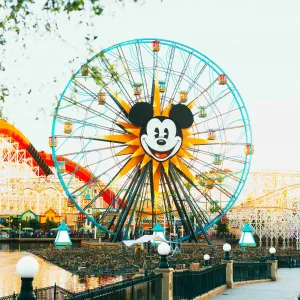 DisneylandForward