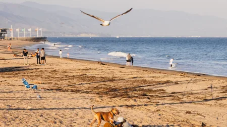 Dicas para aproveitar o verão na Califórnia verão na califórnia