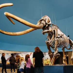 La Brea Tar Pits