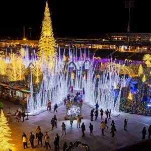 enchant christmas 2024