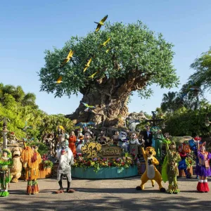 Magic Kingdom e Animal Kingdom